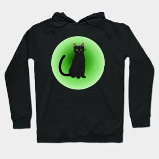 Hollyleaf warrior cat Hoodie